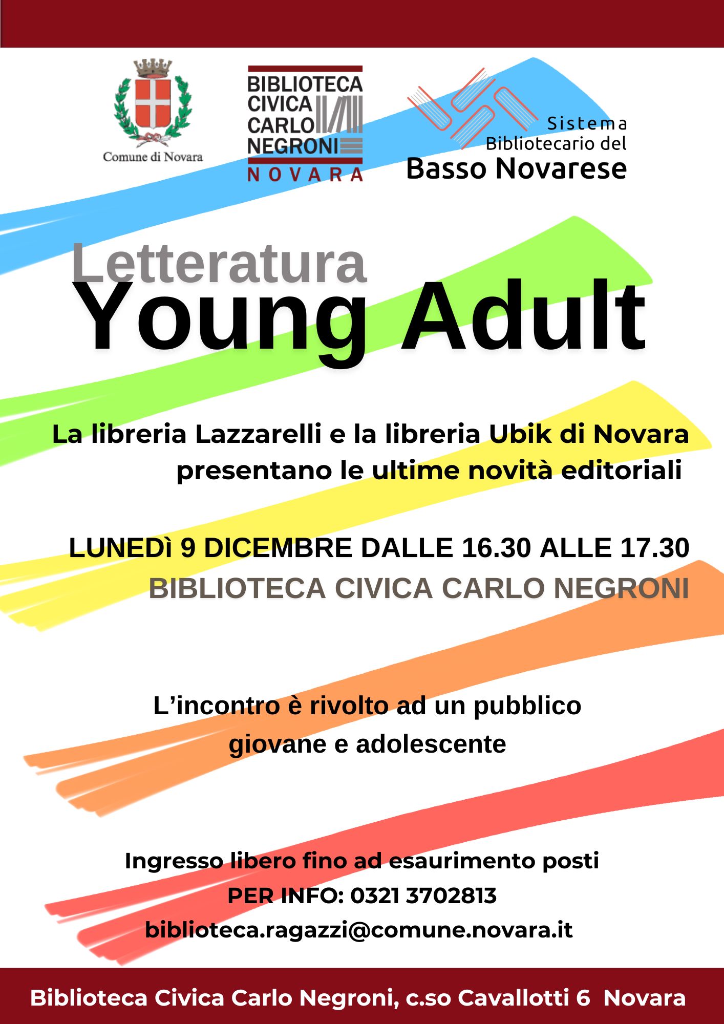 locandina young adult 1